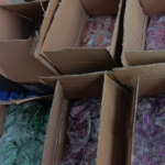 03-08-2024_1722685440_1