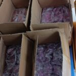 21-04-2023_1682047531_20230421112348