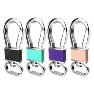 Metal Carabiner Keychain