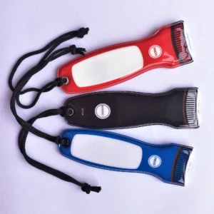 Flat Led Torch Keychain