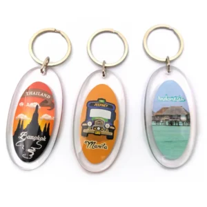 Logo Digital Photo Keychain