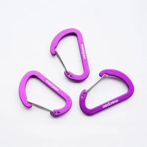 Logo Aluminum Carabiner Keychain